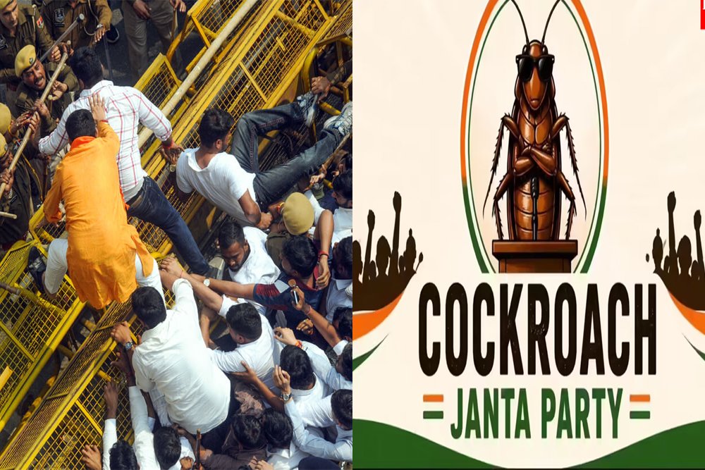 कॉकरोच क्षण: हँसी का आईना